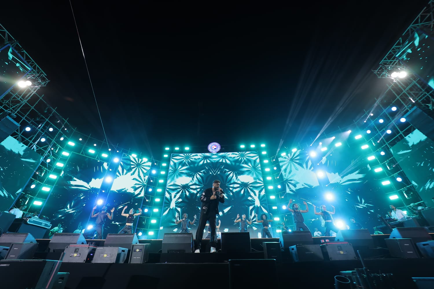 الفنان تامر حسني