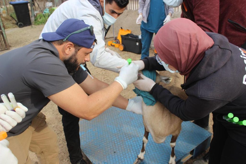 حديقة الحيوان
