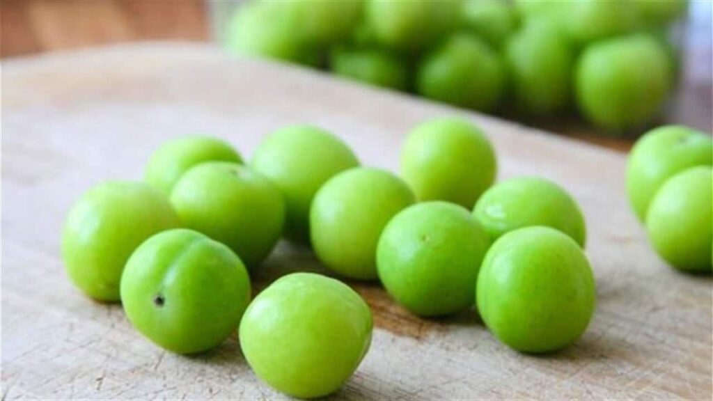 10 حبات يوميًا ضرورة.. لماذا لم تُزرع فاكهة الجانرك في مصر بعد؟ 10 حبات يوميًا ضرورة.. لماذا لم تُزرع فاكهة الجانرك في مصر بعد؟