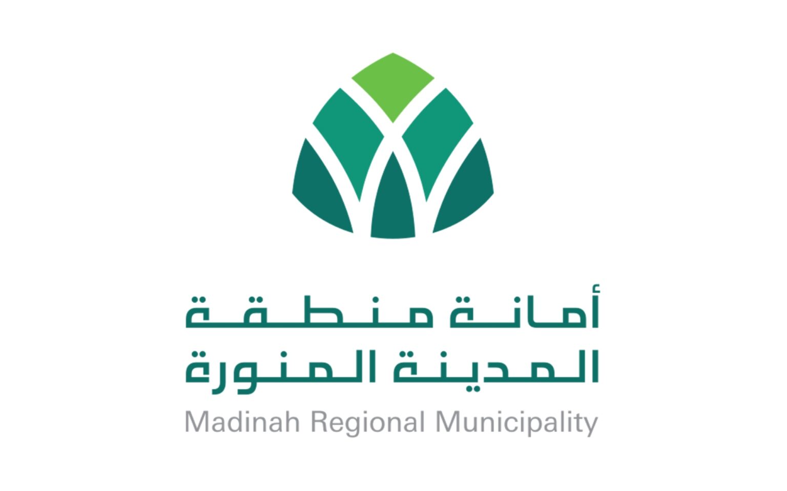 طريقة معرفة أسماء وعدد الوفيات في المدينة المنورة يومياً 1447