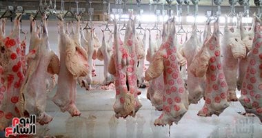 ذبح الأضاحى مجانا فى القاهرة طوال العيد.. اعرف أماكن المجازر وساعات العمل