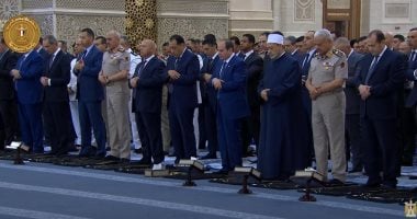 السيد الرئيس عبد الفتاح السيسى