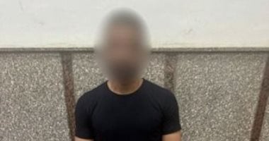 ضبط جزار لذبحه المواشي بطريقة مخالفة بمنطقة السيدة زينب.. فيديو