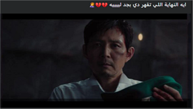الحبار