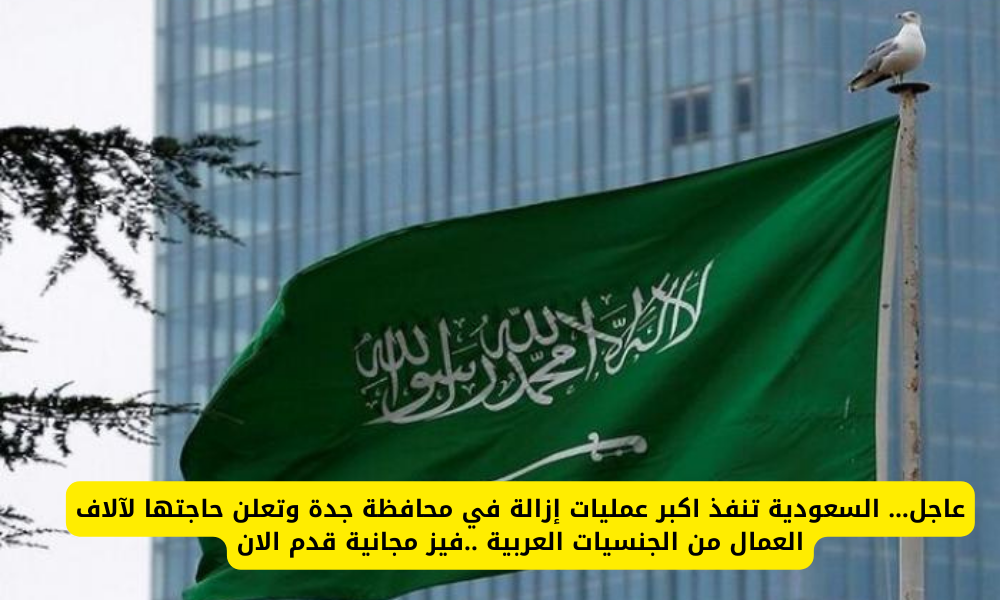 عاجل… السعودية تنفذ اكبر عمليات إزالة في محافظة جدة وتعلن حاجتها لآلاف العمال من الجنسيات العربية ..فيز مجانية قدم الان عمليات إزالة في جدة