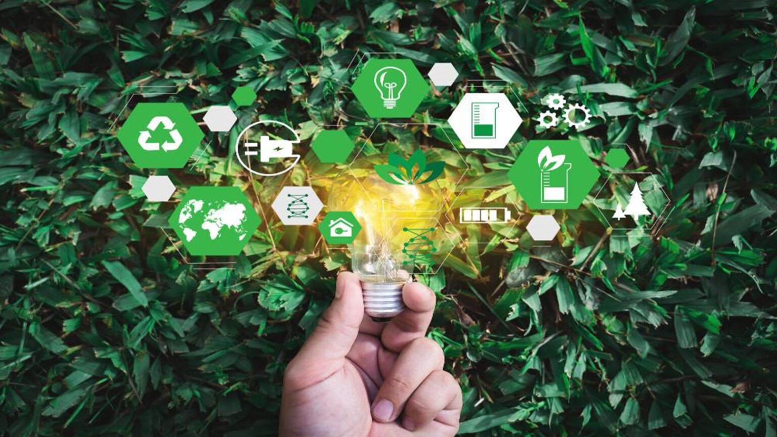 الصناعات الخضراء