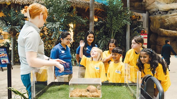 «مدن ياس الترفيهية» تطلق مخيماً صيفياً مبتكراً