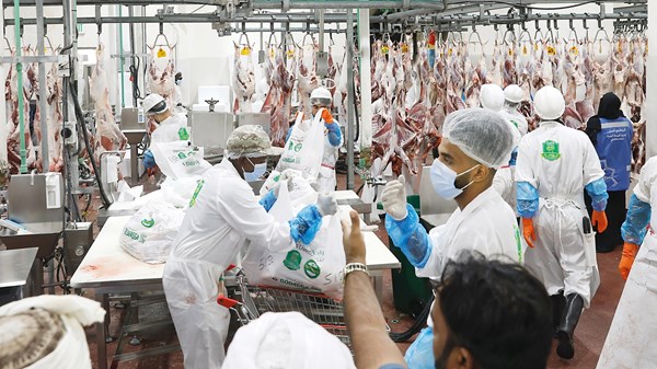 مسالخ أبوظبي تجهز 25500 أضحية مسالخ أبوظبي تجهز 25500 أضحية