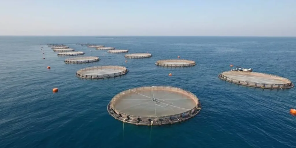 الاستزراع السمكي كلمة السر.. الزراعة تكشف أسباب وصول إنتاج الأسماك إلى مليوني طن