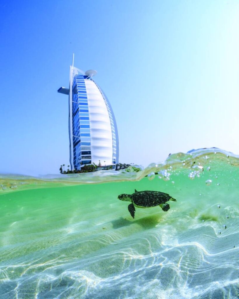 Al Bayan