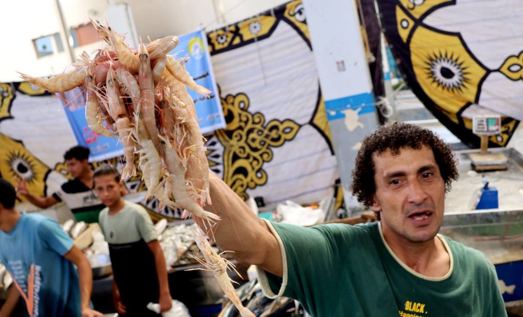 أسماكنا بنصف ثمنها