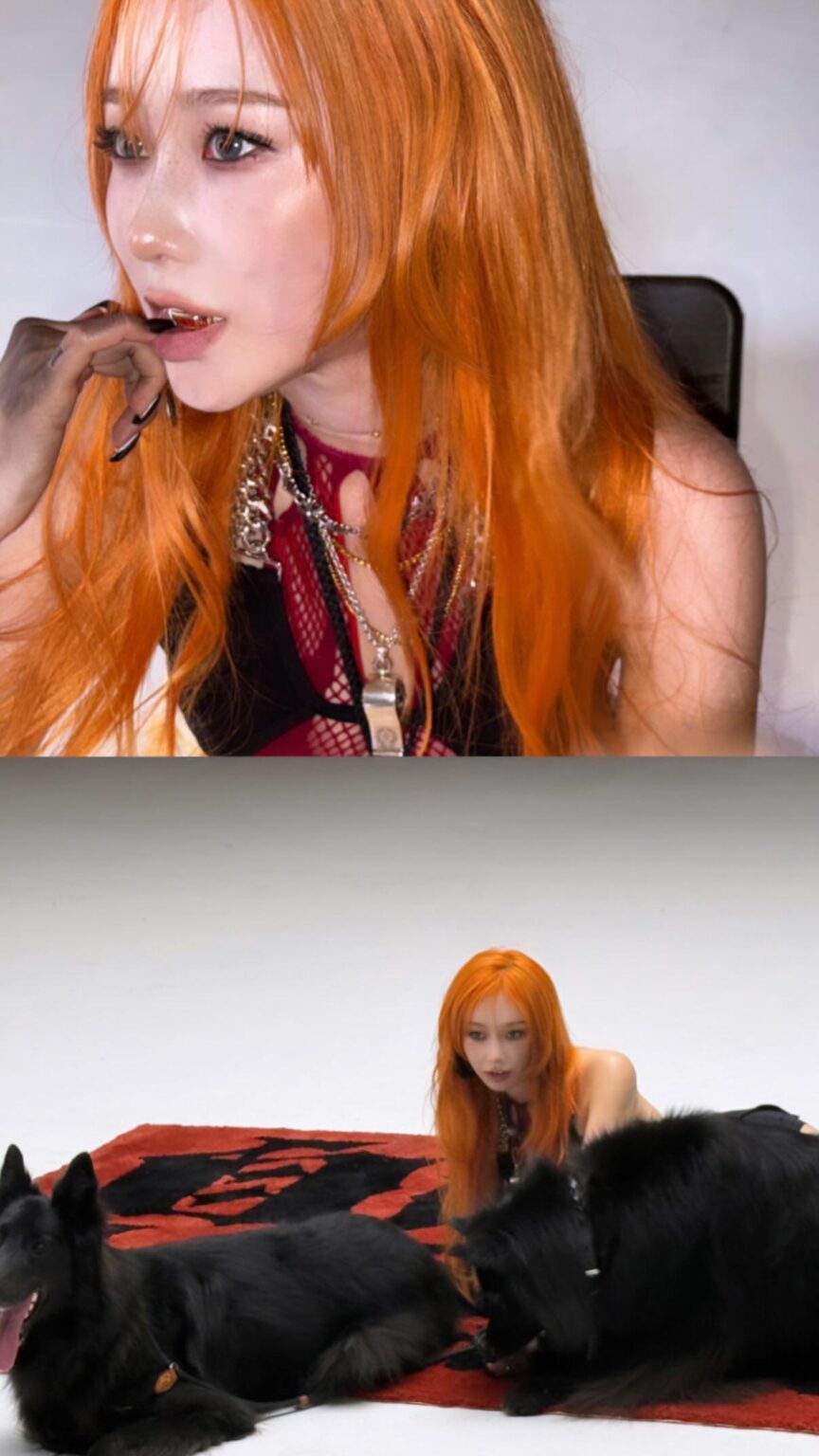 250624 تحديث قصة جيزيل إنستغرام