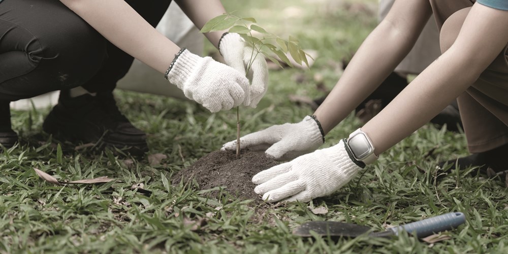 «عام المجتمع».. تجدد الالتزام بالعمل الإنساني
