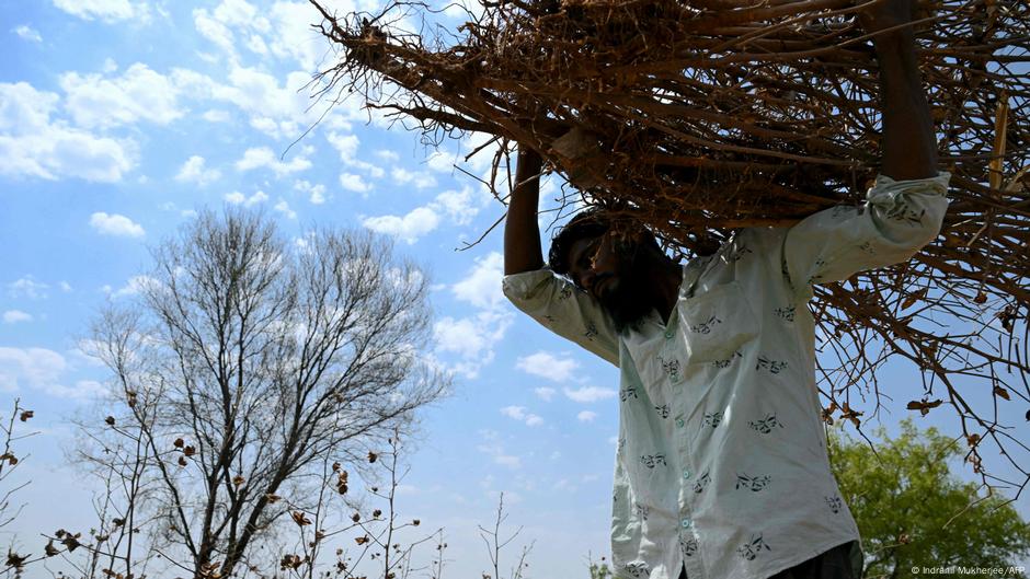 ألمانيا تستضيف محادثات دولية حول المناخ قبل قمة البرازيل – DW – 2025/6/16