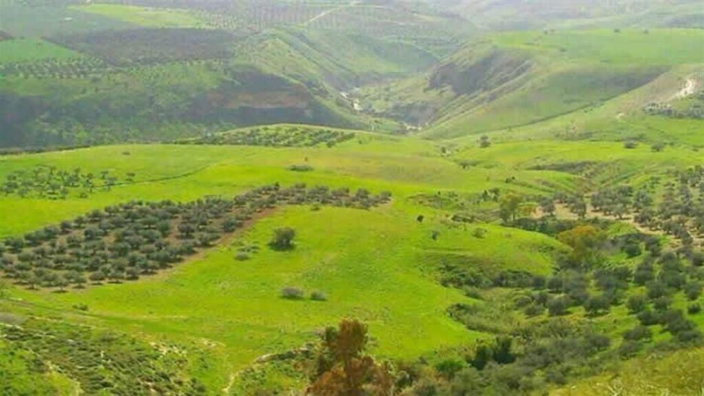 مناشدات للرؤساء الثلاثة.. مزارع شبعا لبنانية! مناشدات للرؤساء الثلاثة.. "مزارع شبعا لبنانية"!