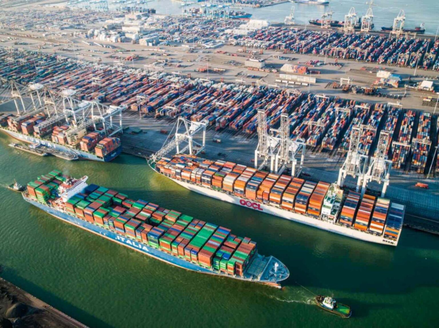 مصر تنشئ منطقة جرجوب الاقتصادية الخاصة على 402.2 ألف فدان بالساحل الشمالي