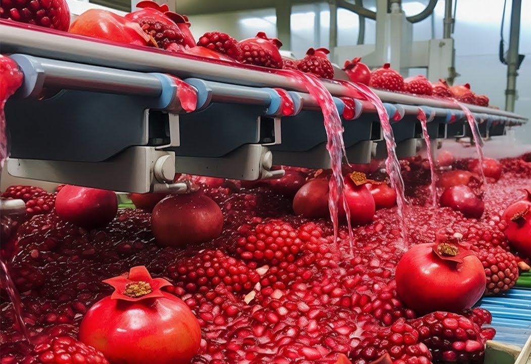 مراحل إنتاج عصير الرمان