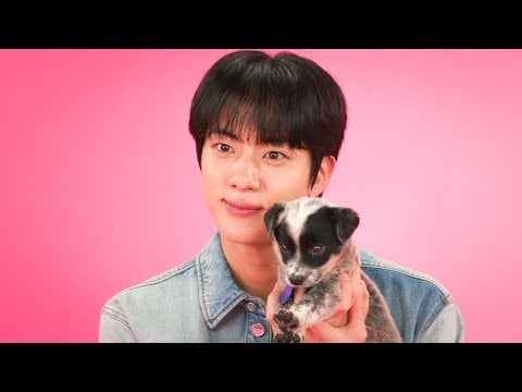 Jin (BTS) - Jin: The Puppy Interview @ BuzzFeed Celeb (250611) [ENG SUB]