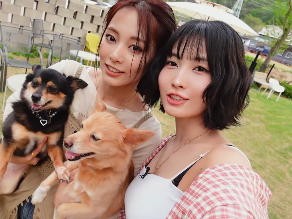 250620 - تزويو ومومو في نهاية تاريخهما