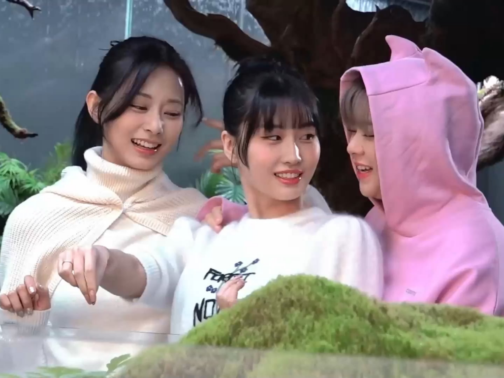 240308 - يتصرف Tzuyu و Momo و Jeongyeon اللطيف جدًا