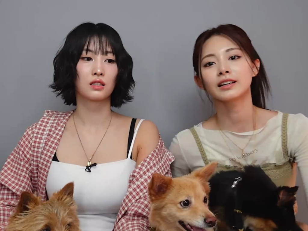 250620 - مومو وزويو يتظاهران مع كلابهم