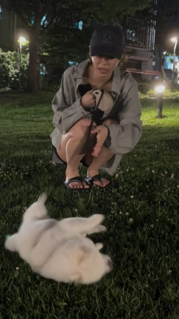 250630 تحديث Shiro Instagram مع Kim Chaewon