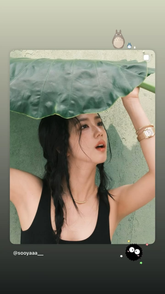 250630 تحديث قصة JISOO IG