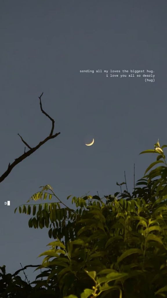 250601 تحديث قصة Rosé IG