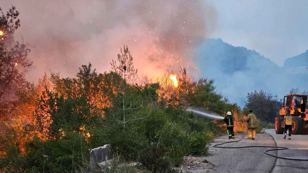 حريق ضخم يضرب غابات "السفكون" بريف اللاذقية (فيديو وصور) - إرم نيوز