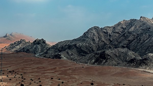 "الفاية" يواصل ترسيخ مكانته كمركز عالمي في دراسات تطور الإنسان