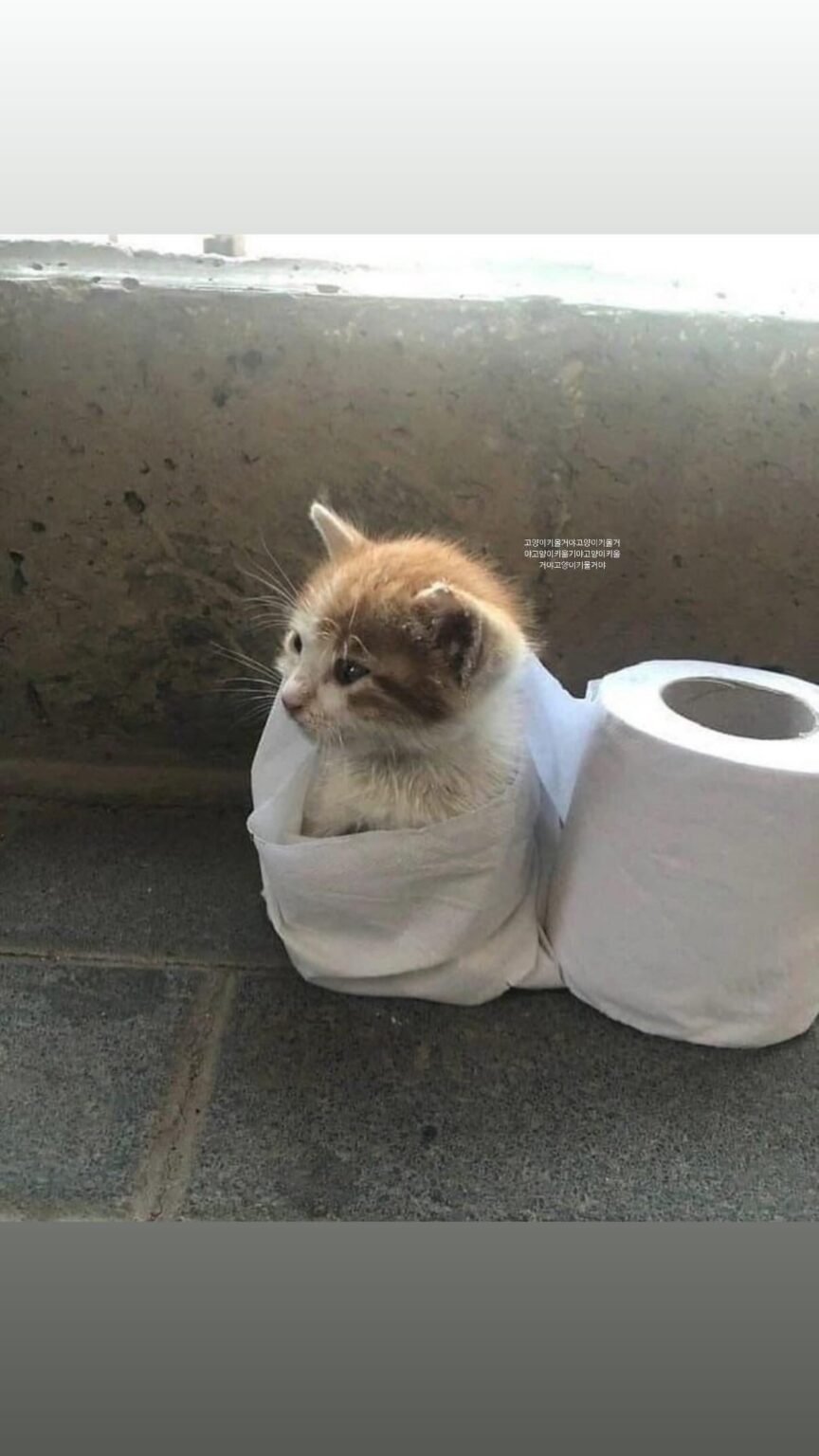 250621 LIGHTING Instagram Story Updte