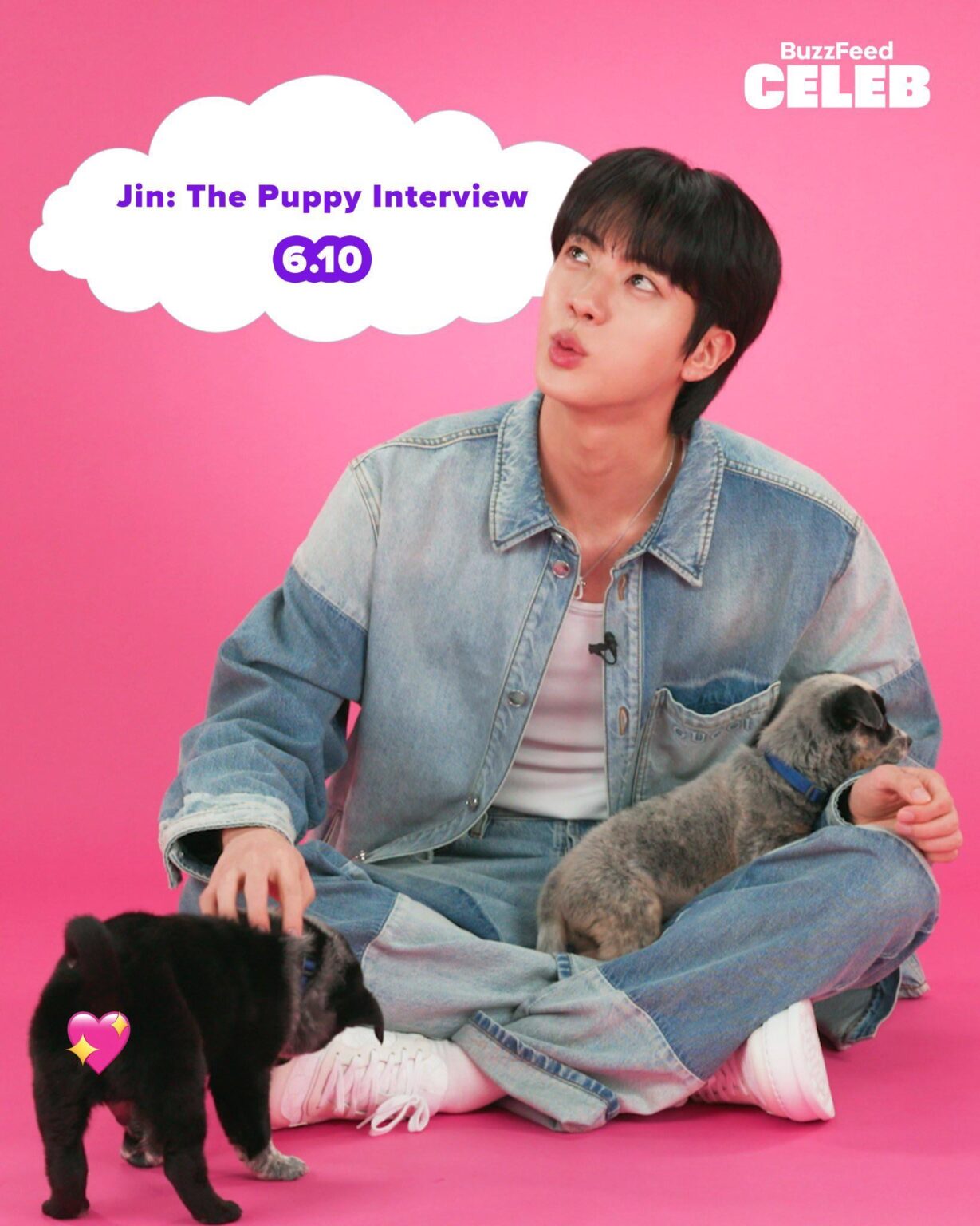 BTS Jin - The Puppy Interview @ BuzzFeed Celeb (صورة دعابة) (تاريخ الهواء: 250610)