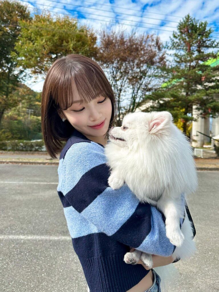 250629 le sserafim Twitter Update - Kim Chaewon @ إذا غادرت المنزل ، فستعيش مثل كلب مدلول