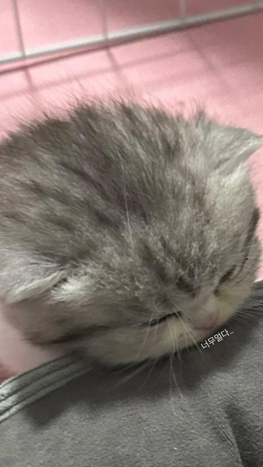 250624 تحديث قصة الإضاءة Instagram