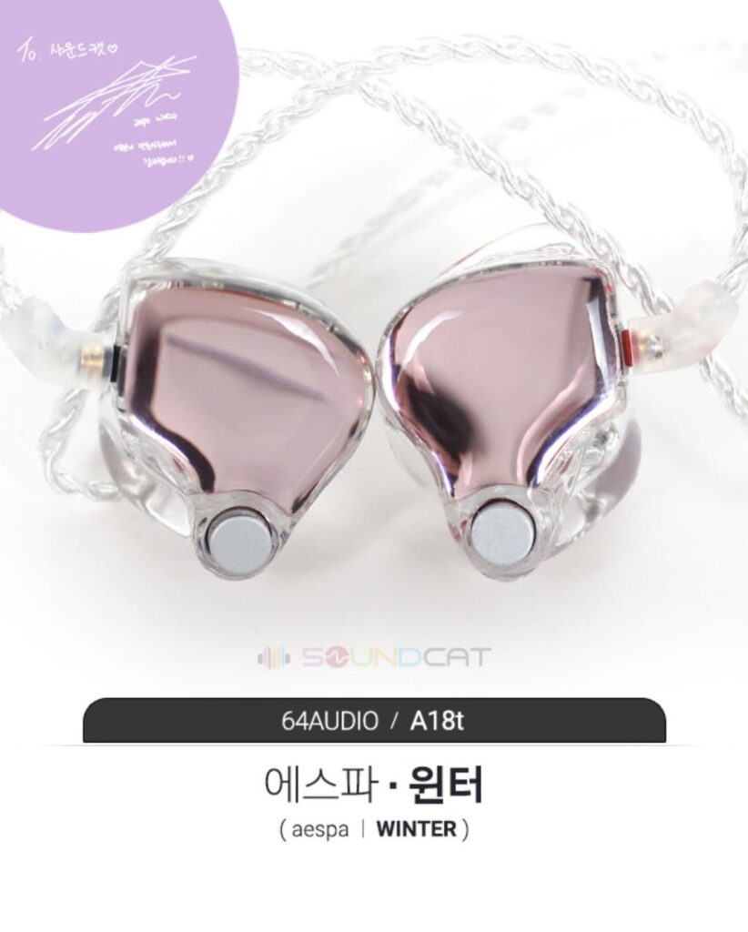 شاشة الشتاء المخصصة في الأذن