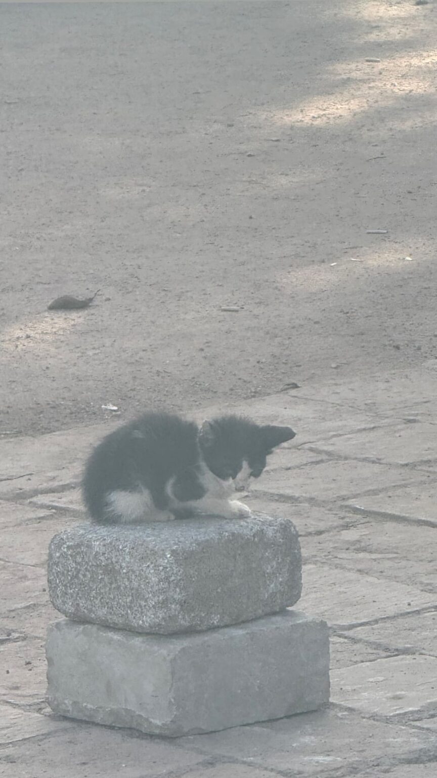 250626 تحديث قصة Winter Instagram