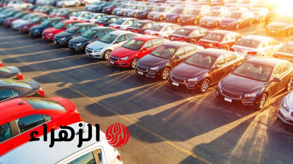 بعد توجيهات الرئيس السيسي.. قرار عاجل من الحكومة بشأن أسعار هذه السيارات | هتركب عربية أخيرًا بعد توجيهات الرئيس السيسي.. قرار عاجل من الحكومة بشأن أسعار هذه السيارات | هتركب عربية أخيرًا