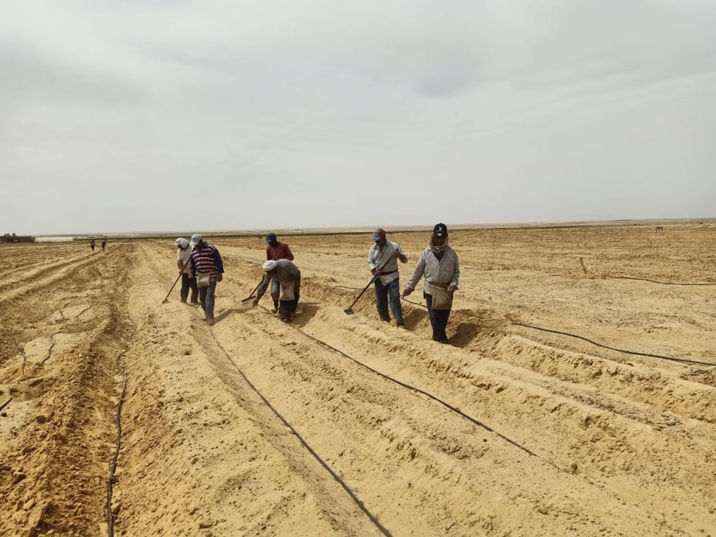 الأراضي الصحراوية