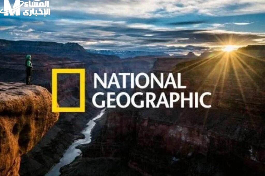 الاستكشاف يبدأ دلوقتي.. تردد ناشونال جيوغرافيك الجديد هيدخلك قلب الطبيعة الاستكشاف يبدأ دلوقتي.. تردد ناشونال جيوغرافيك الجديد هيدخلك قلب الطبيعة