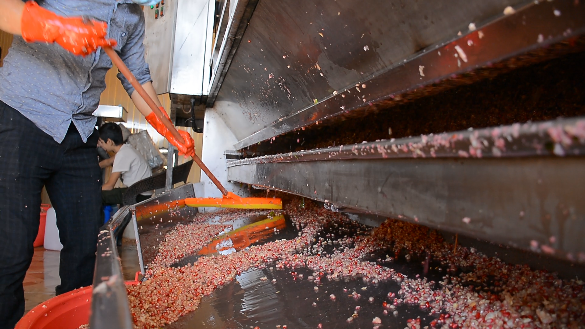 معمل دبس عصير الرمان 