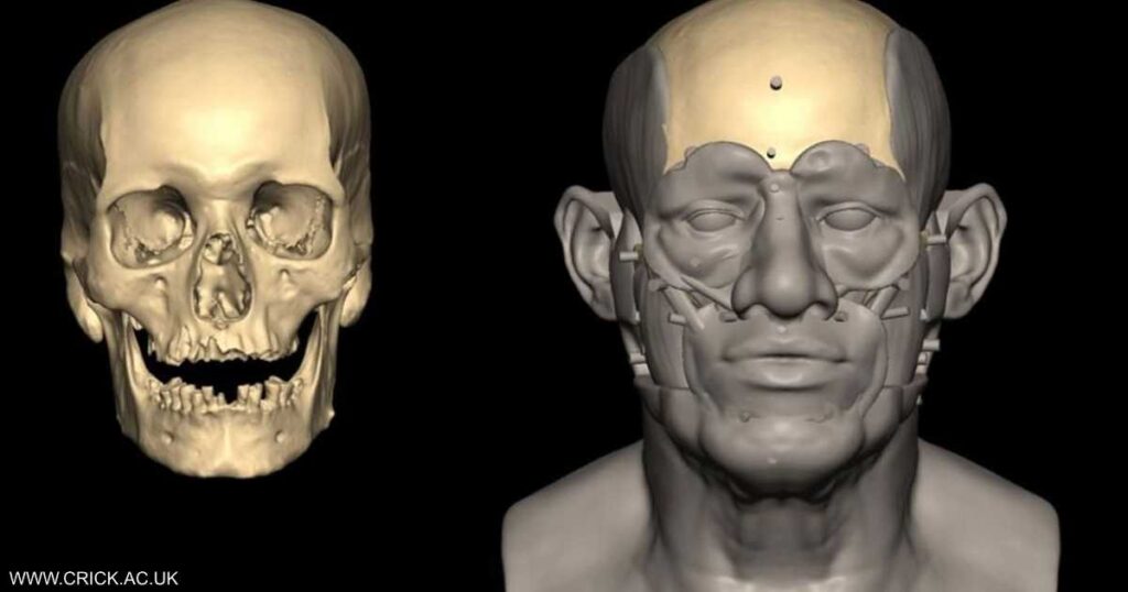 تحليل جينوم مصري عمره آلاف السنين يكشف "معلومات مثيرة"