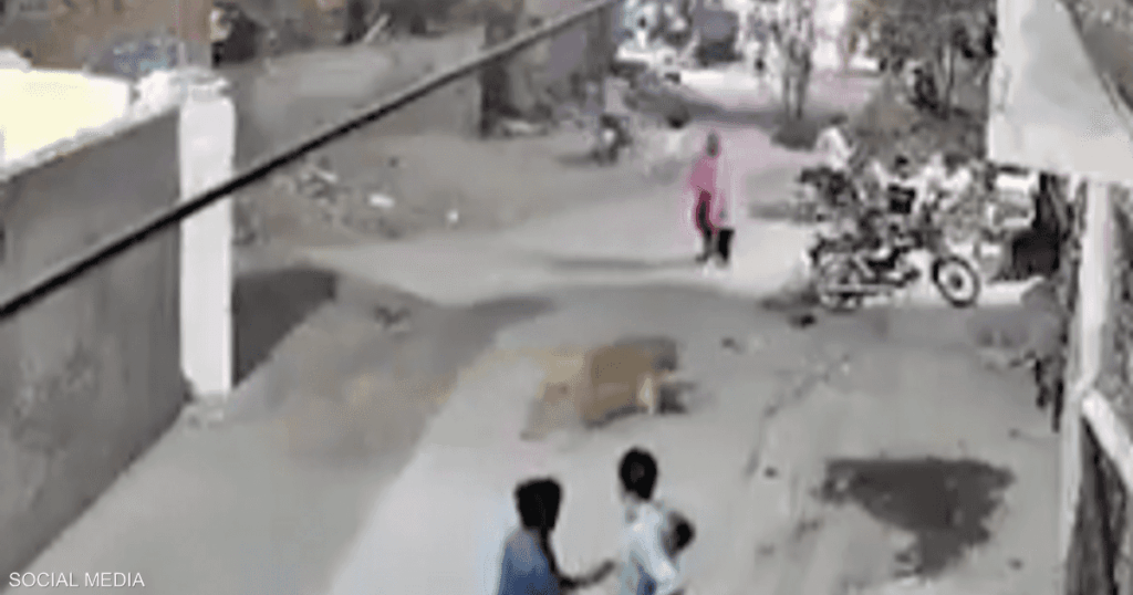 فيديو.. لحظة هجوم أسد هارب على سيدة في باكستان