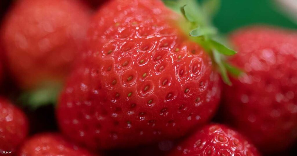 لماذا يحذر الخبراء من الإفراط في تناول الفراولة؟