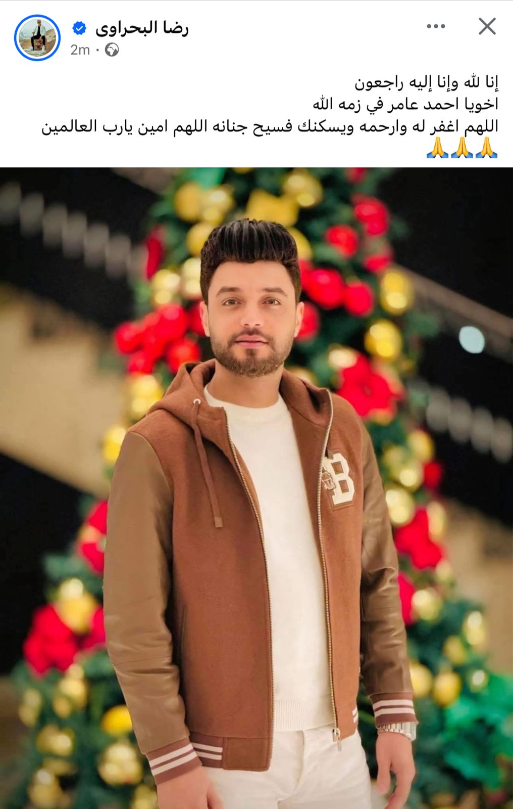 رضا البحراوى