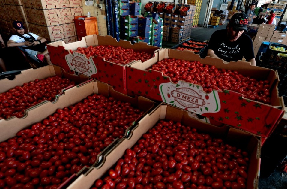 الولايات المتحدة تفرض تعرفات بنسبة 17% على واردات الطماطم المكسيكية