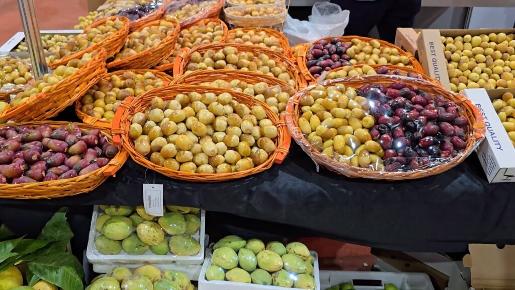 مهرجان الذيد للرطب يختتم فعاليات دورته الـ9 وسط مشاركة واسعة