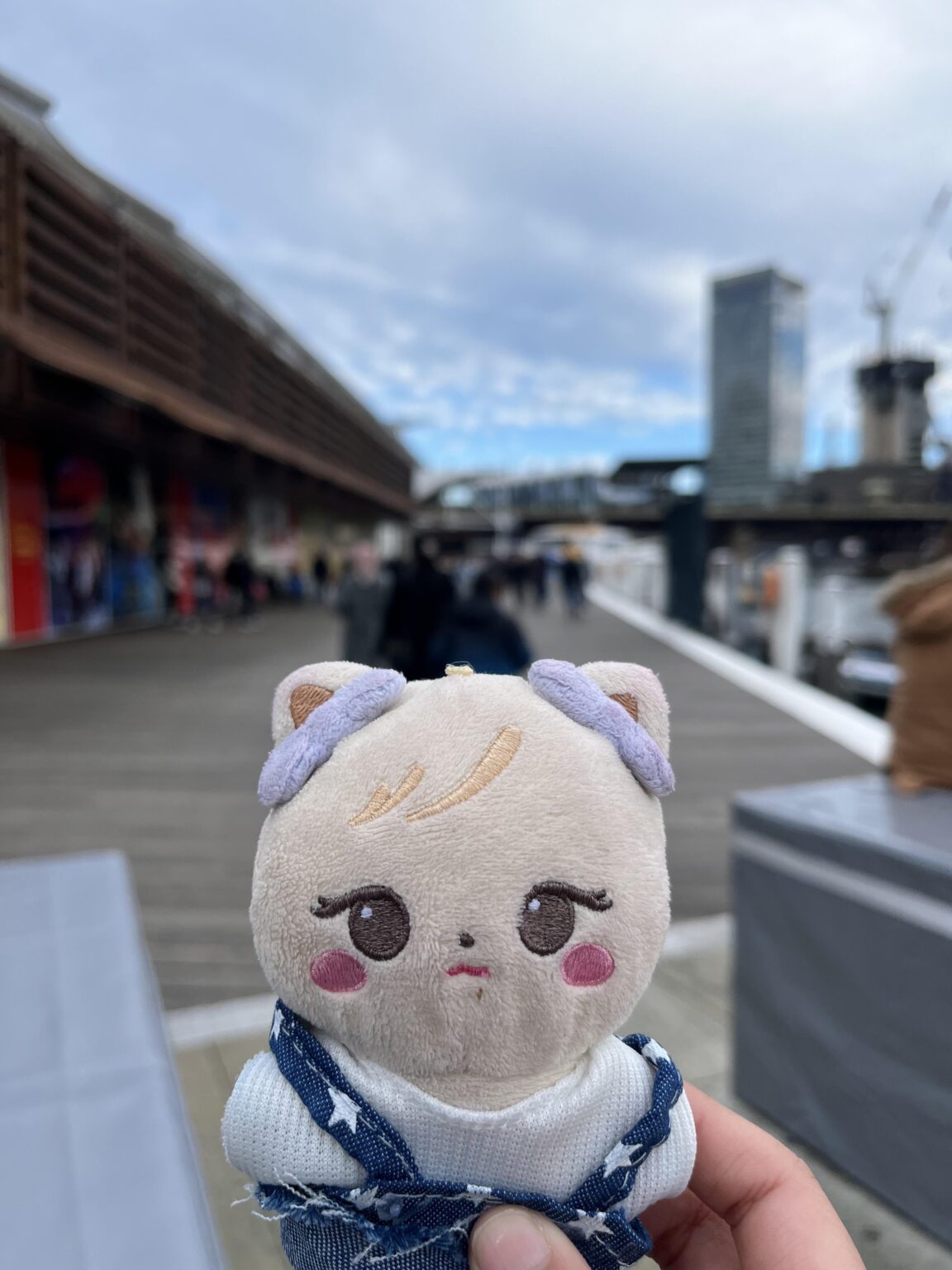 250731 هل وضع أي شخص على ملابس Labubu على دمى الشخصية؟