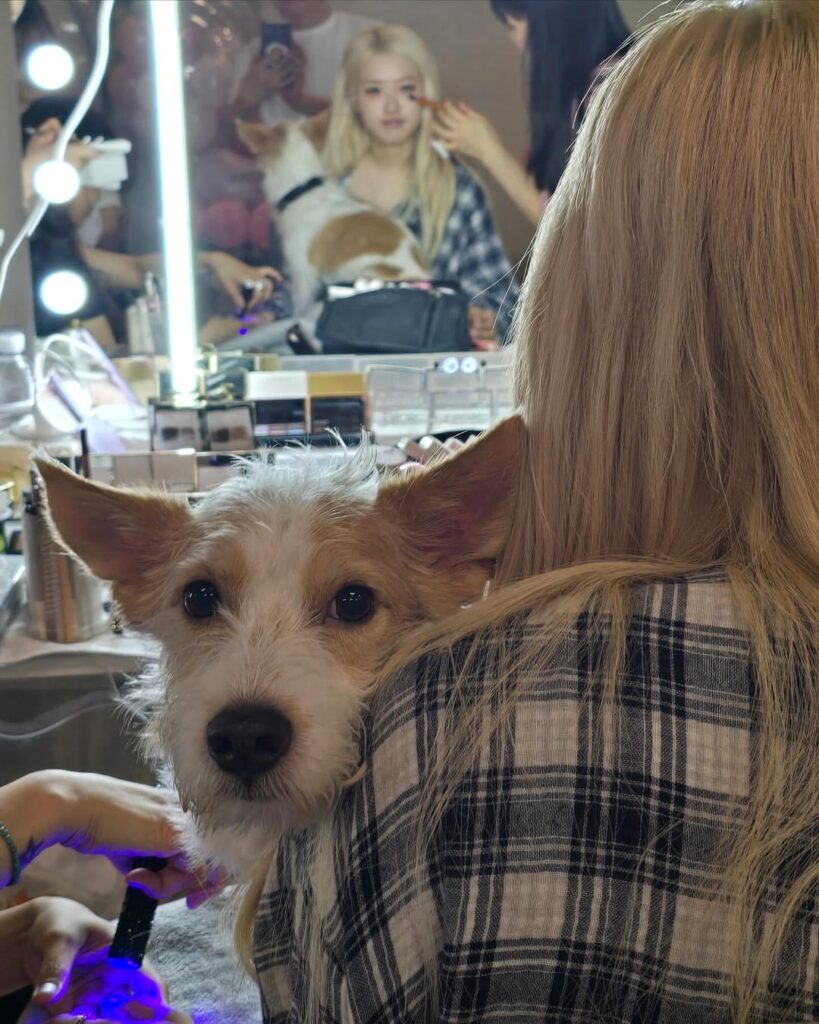 250718 Rosé (Hank_Says_Hank) تحديث IG