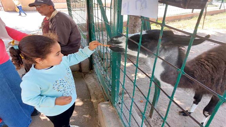 وزير الزراعة يكشف لمصراوي حقيقة زيادة أسعار تذاكر دخول حديقة الحيوان وزير الزراعة يكشف لمصراوي حقيقة زيادة أسعار تذاكر دخول حديقة الحيوان