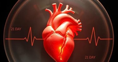 لأول مرة.. زراعة قلب بشرى فى جنين خنزير يعيش لمدة 21 يوما فقط